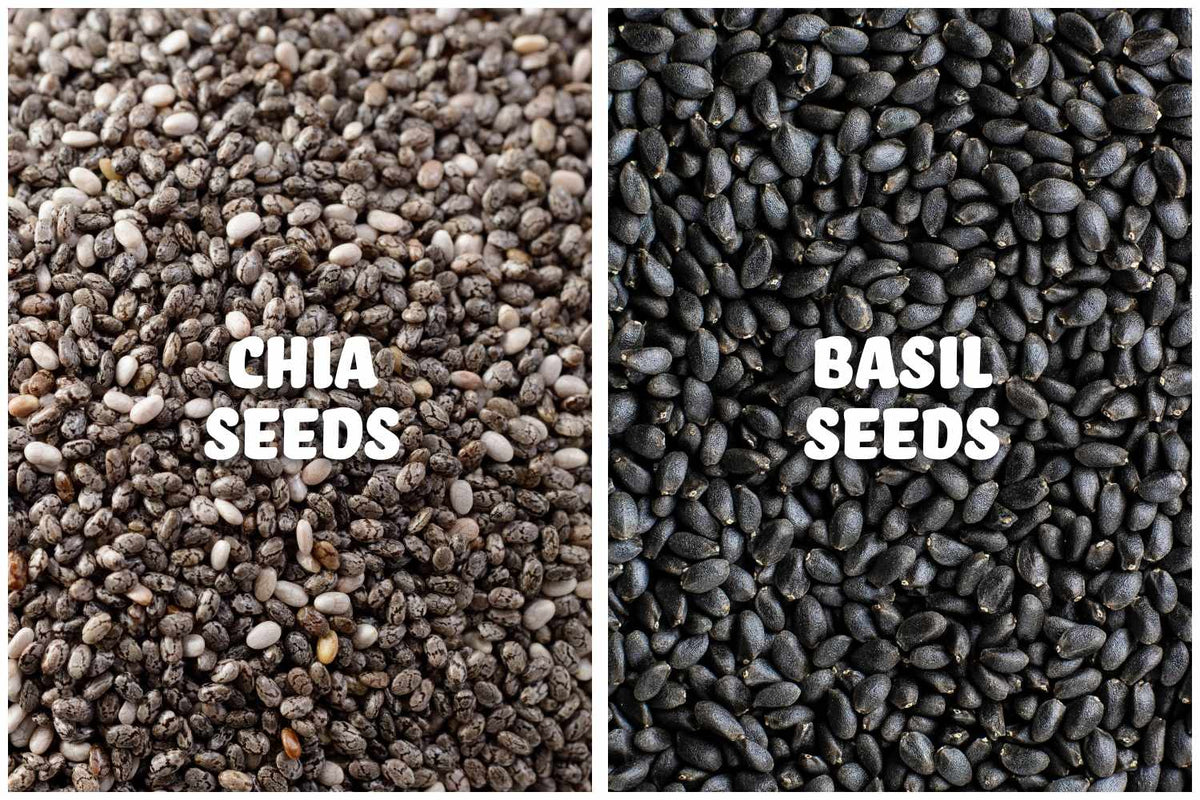 Chia Seeds Vs Sabja Seeds A Comprehensive Comparison Of Their Benefits And Uses Green Habit